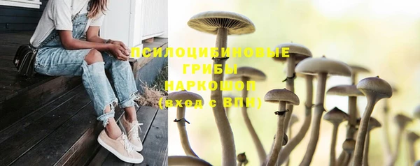 дживик Абинск