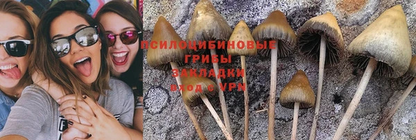каннабис Абаза
