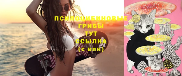 Альфа ПВП Пересвет