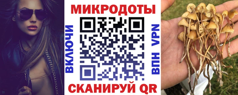 купить   Сарапул  Галлюциногенные грибы Cubensis 